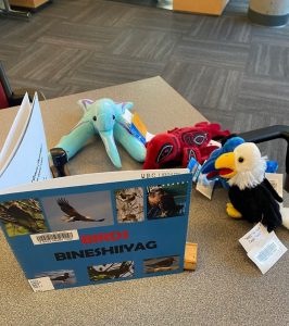 Four finger puppets placed in a circle as though they are reading from a picture book. The book is blue with the title "Birds Bineshiiyag"