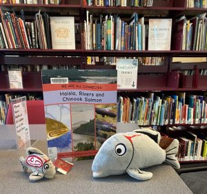 A salmon stuffed toy next to a salmon finger puppet, in front of a book titled "We are all connected: Haisla, Rivers, and Chinook Salmon" 